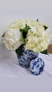 display beautiful blue and white ginger jar with classic white hydrangea
